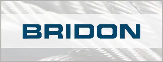 wire rope bridon