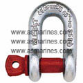 Segel / Shackle Dee
