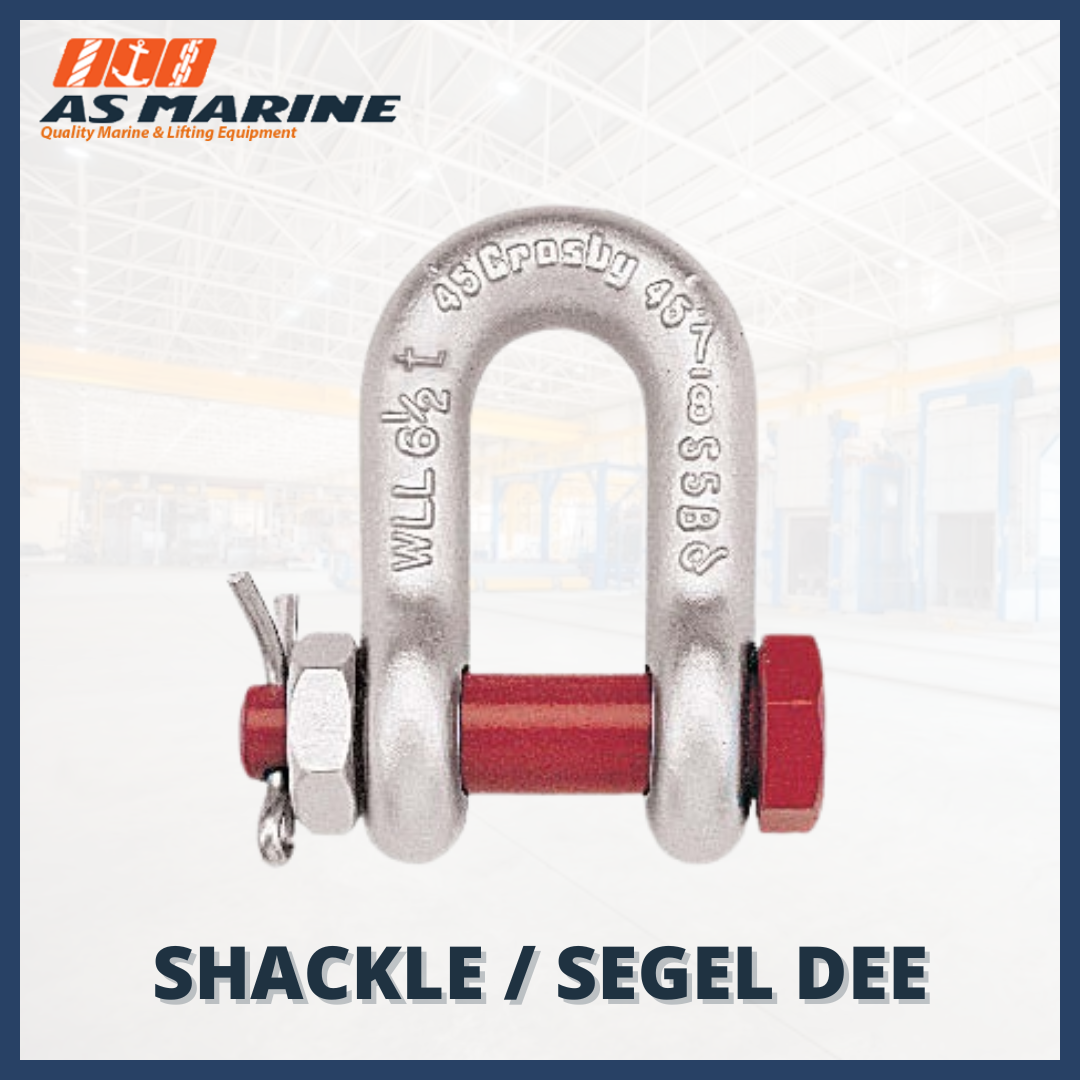 Segel / Shackle Dee