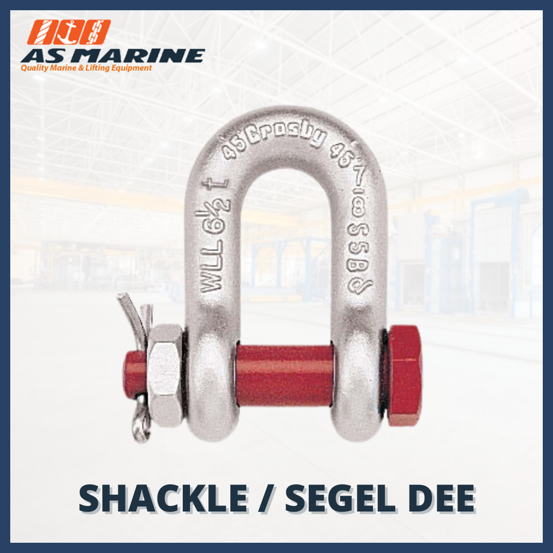 Segel / Shackle Dee Segel / Shackle Dee