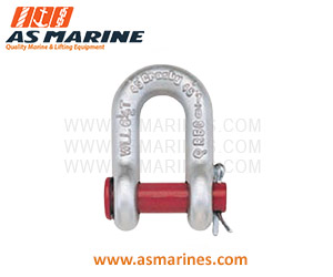 Jual-Shackle-Dee